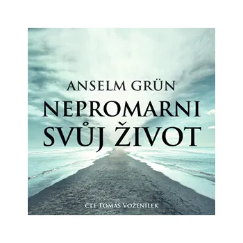 Nepromarni svůj život MP3 download