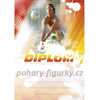 Diplom beach voleyball 6633