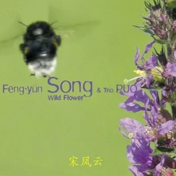 Zahraniční hudba Feng-yűn Song - Wild Flower (CD, MAM322-2)
