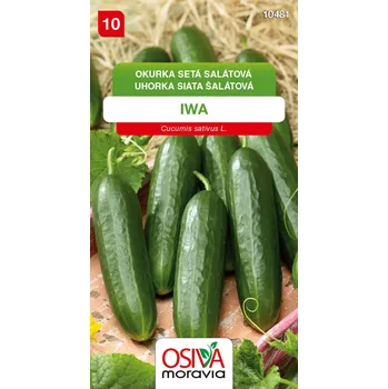 Semeno Okurka salátová - Iwa