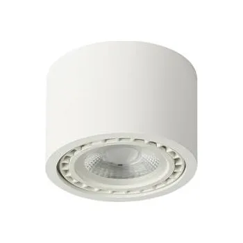 Bodové svítidlo Stropní přisazené bodové svítidlo Azzardo Eco Alix New white AZ3492 ES111 1x35W IP20 12cm 230V bílé
