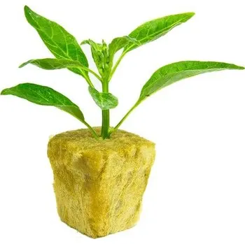 Substrát Grodan sadbovací kostka 36x36x40mm bez sadbovače