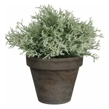 umělá květina Edelman Květina trákorálová v květináči, bílá|Ego Dekor