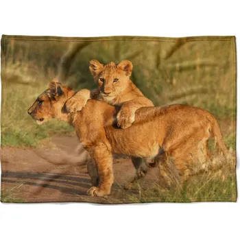 Dětská deka Deka Lvíčata 150x120 cm (Rozměr : 150 x 120 cm, Podšití beránkem: NE)
