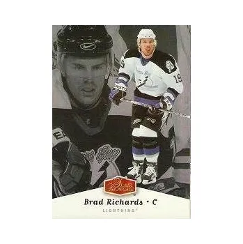 Sběratelská karetní hra řadová karta BRAD RICHARDS 06-07 Flair Showcase číslo 89