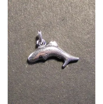 Přívěsek Rybka - stříbrný přívěsek / přívěsek ze stříbra