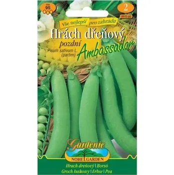Semeno Nohelgarden Hrách dřeňový pozdní AMBASSADOR
