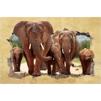 Samolepící dekorace Samolepicí dekorace na stěnu PVC sloni 50x70 cm sloni