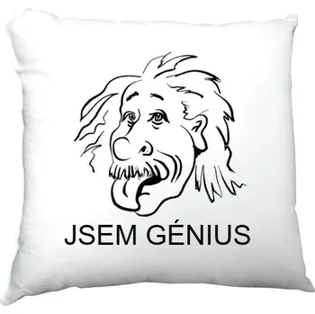 Polštář Polštář saténový s potiskem Albert Einstein Mashalesi Art Design 4