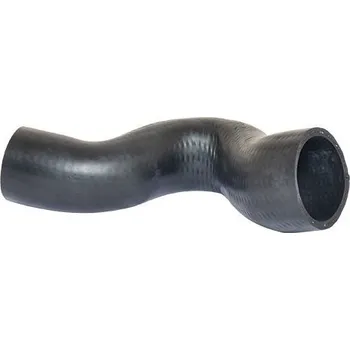 Motor automobilu Hadice plnícího vzduchu BUGIAD 85636