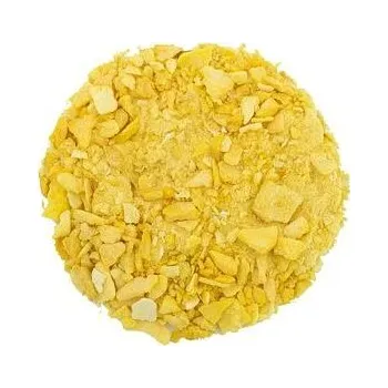 Sušená potravina Mango lyofilizované drť váha 100g