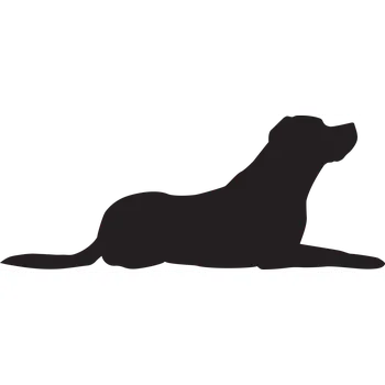 Vsepropejska Labrador 3 dřevěná dekorace na zeď Rozměr (cm): 19 x 38