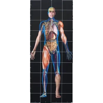 Výuková hračka TTS Bee-bot & Blue-bot lidské tělo