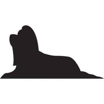 Vsepropejska Shih-tzu 2 dřevěná dekorace na zeď Rozměr (cm): 19 x 38