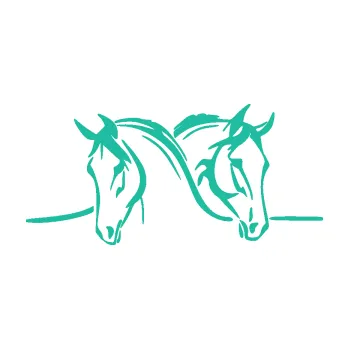 Samolepící dekorace Koníci 006 levá (25 - tyrkysová) SAMOLEPKA NA AUTO, NÁLEPKA, FÓLIE, POLEP, TUNING, VLASTNÍ TEXT, TISK, AUTOSAMOLEPKY.cz, POLEPY, OBRÁZEK, LOGO, 3D STICKERS