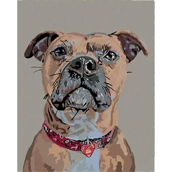 Malování podle čísel - Pes v pozoru a srdíčkový obojek, 40x50 cm, bez rámu a bez vypnutí plátna