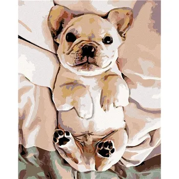 Malování podle čísel - Malé štěně buldočka, 40x50 cm, bez rámu a bez vypnutí plátna
