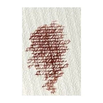 Karton grafický Tilia s ražbou A4, 250g/m2, 10 listů