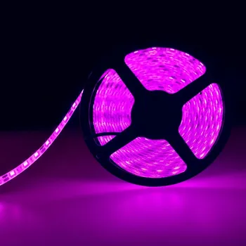 LED páska LED pásek růžová 5m SMD5050 voděodolný IP65 (60led/m, 6W/m, 12V)
