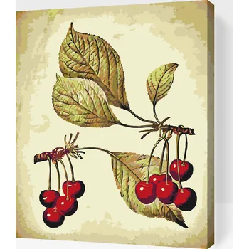 Malování podle čísel - Vintage třešinky Velikost: 30x40cm, Rámování: Pouze srolované plátno