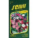 SEMO Pendula Compacta petunie směs 0,2 g