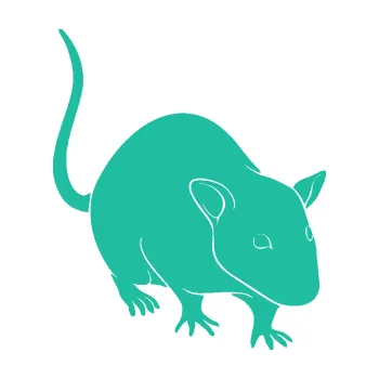 Samolepící dekorace SAMOLEPKA Krysa 003 pravá (25 - tyrkysová) NA AUTO, NÁLEPKA, FÓLIE, POLEP, TUNING, VLASTNÍ TEXT, TISK, AUTOSAMOLEPKY.cz, POLEPY, OBRÁZEK, LOGO, SAMOLEPKY