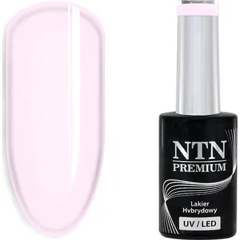 Lak na nehty Lak na nehty NTN č.176 5 g