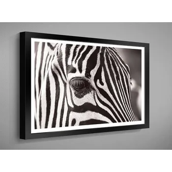 Obraz Nabytekmorava OBRAZ v rámu 60x40 ZVÍŘATA černobílé RÁMEČEK BW: 0042
