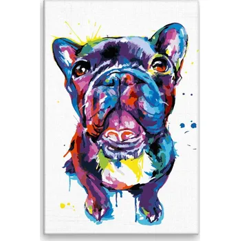 Dětské zboží Malování podle čísel - Buldoček v barvách - 40x60 cm, bez dřevěného rámu - CZ výroba