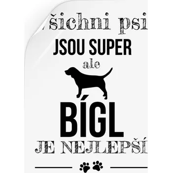 Samolepící dekorace Samolepka Bígl je nejlepší