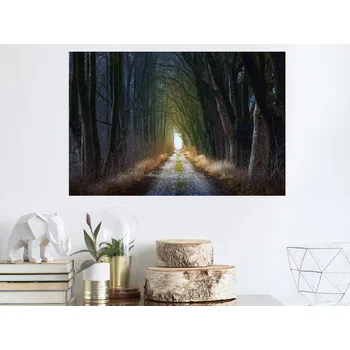 Samolepící dekorace Cesta alejí samolepka na zeď 45 x 30 cm