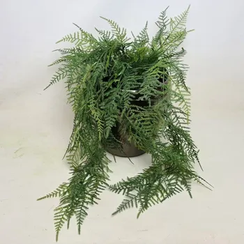 umělá květina Umělý Asparagus 75cm - Do interiéru