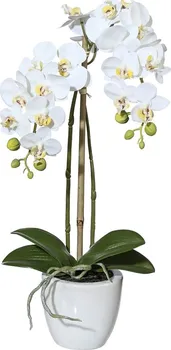 Umělá květina Gasper Orchidej v květináči 43 cm bílá