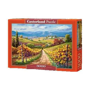 Puzzle Puzzle 3000 - CASTORLAND Vinice