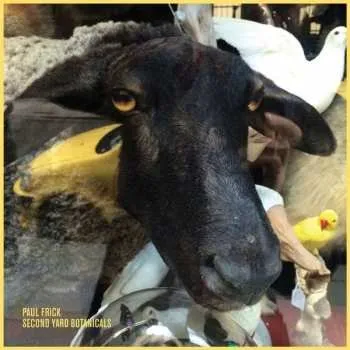 Zahraniční hudba LP Paul Frick: Second Yard Botanicals 2018