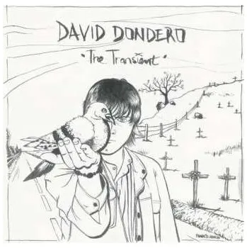 Zahraniční hudba LP David Dondero: The Transient 2020 180g Vinyl