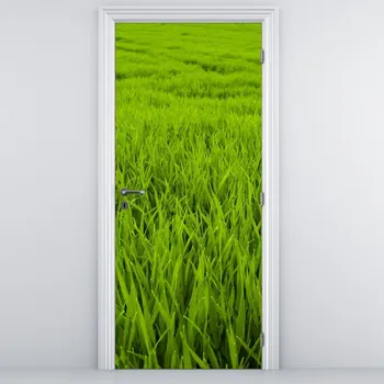 Fototapeta LuxusniObrazy.cz Fototapeta na dveře - Tráva