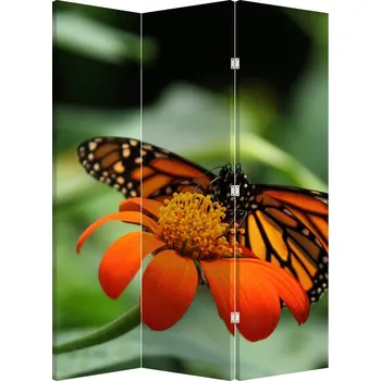 Paraván LuxusniObrazy.cz Paraván - Motýl na květině