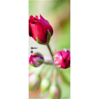 Fototapeta LuxusniObrazy.cz Fototapeta na dveře - květ růže