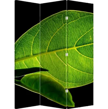 Paraván LuxusniObrazy.cz Paraván - Zelený list