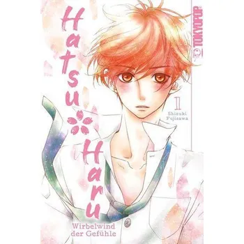 Komiks pro dospělé Hatsu Haru - Wirbelwind der Gefühle 01 - Fujisawa, Shizuki