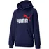 Chlapecká mikina PUMA Essentials 2-Colour Youth Hoodie 583232-06 116