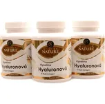 Golden Nature Kys. Hyaluronová + Rybí kolagen + C 300kapslí