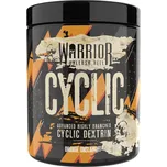 WARRIOR Cyclic 400 g jahoda