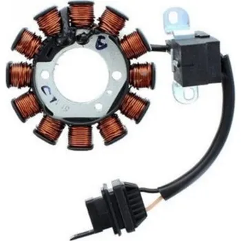 Elektroinstalace pro motocykl Stator alternátoru Electrosport Piaggio Zip 100 2007 - 2010