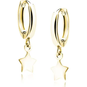 Náušnice Pozlacené stříbrné visací náušnice s hvězdičkou - Meucci SLE423