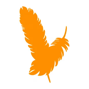 Samolepící dekorace Peříčka 002 levá (06 - oranžová) SAMOLEPKA NA AUTO, NÁLEPKA, FÓLIE, POLEP, TUNING, VLASTNÍ TEXT, TISK, AUTOSAMOLEPKY.cz, POLEPY, OBRÁZEK, LOGO, 3D STICKERS