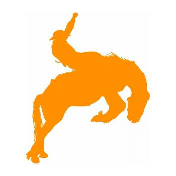 Samolepící dekorace SAMOLEPKA Kovboj 001 pravá rodeo na koni (06 - oranžová) NA AUTO, NÁLEPKA, FÓLIE, POLEP, TUNING, VLASTNÍ TEXT, TISK, AUTOSAMOLEPKY.cz, POLEPY, OBRÁZEK, LOGO, SAMOLEPKY