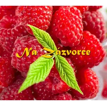 Sazenice Maliník Willamette® (Rubus idaeus ´Willamette´)