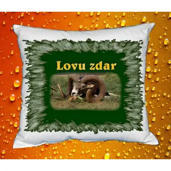 Dekorativní polštářek Polštářek pro myslivce 3